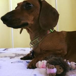 Meet your Posher, Lissette